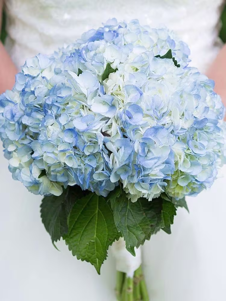 Hydrangea Bouquet