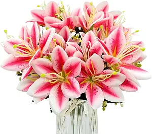 Orchid Bouquet